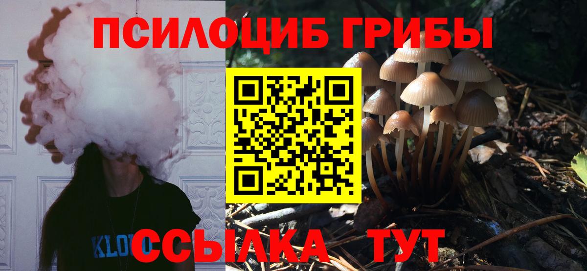 Псилоцибиновые грибы GOLDEN TEACHER  Вход с VPN  где найти   Новотроицк 