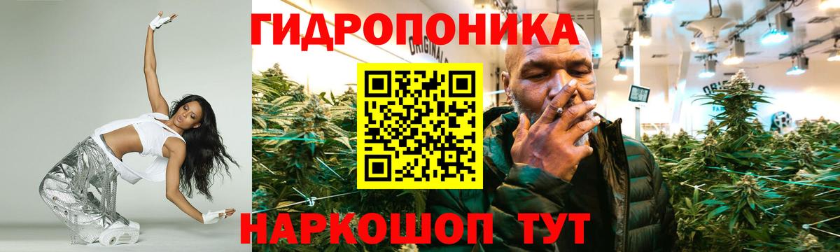 Бошки Шишки Amnesia  МАРИХУАНА план  Новотроицк  Вход с VPN  Марихуана семена 